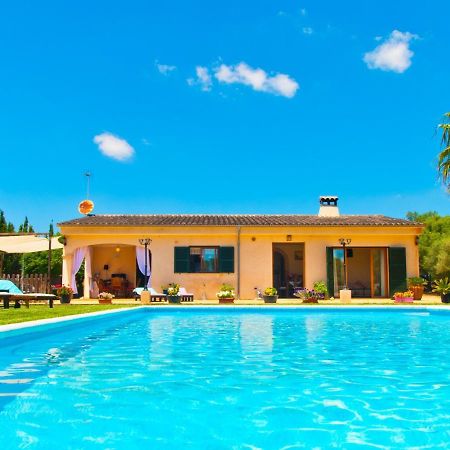 Villa Can Coll de Sencelles, Sa Vileta pool&views Costitx  Exteriör bild